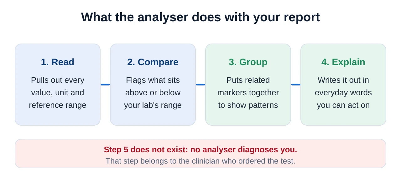 Four-stage pipeline showing how an AI blood test analyser works: read the report, match each value to its reference range, group related markers, then explain in plain English