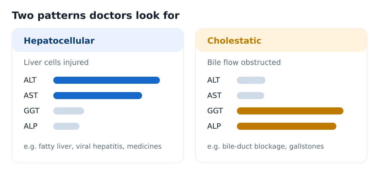 Two-column comparison of the hepatocellular pattern with ALT and AST predominant versus the cholestatic pattern with GGT, ALP and bilirubin predominant
