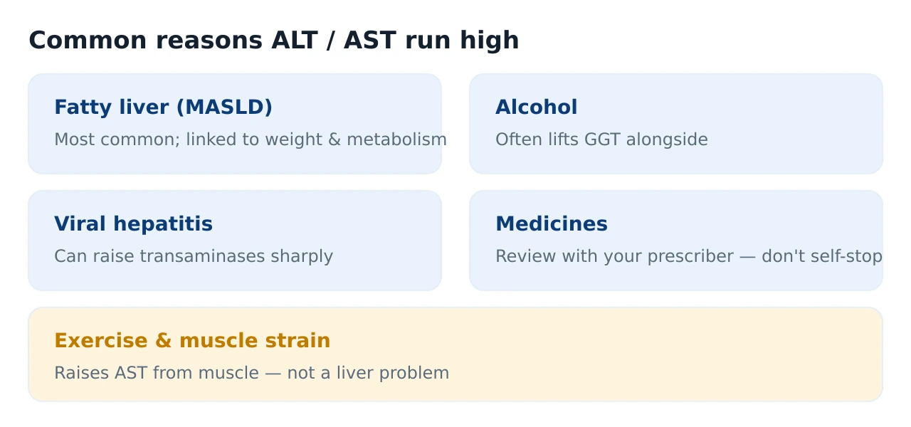 Card listing common causes of a raised ALT and AST: fatty liver, alcohol, viral hepatitis, medicines and recent exercise or muscle injury