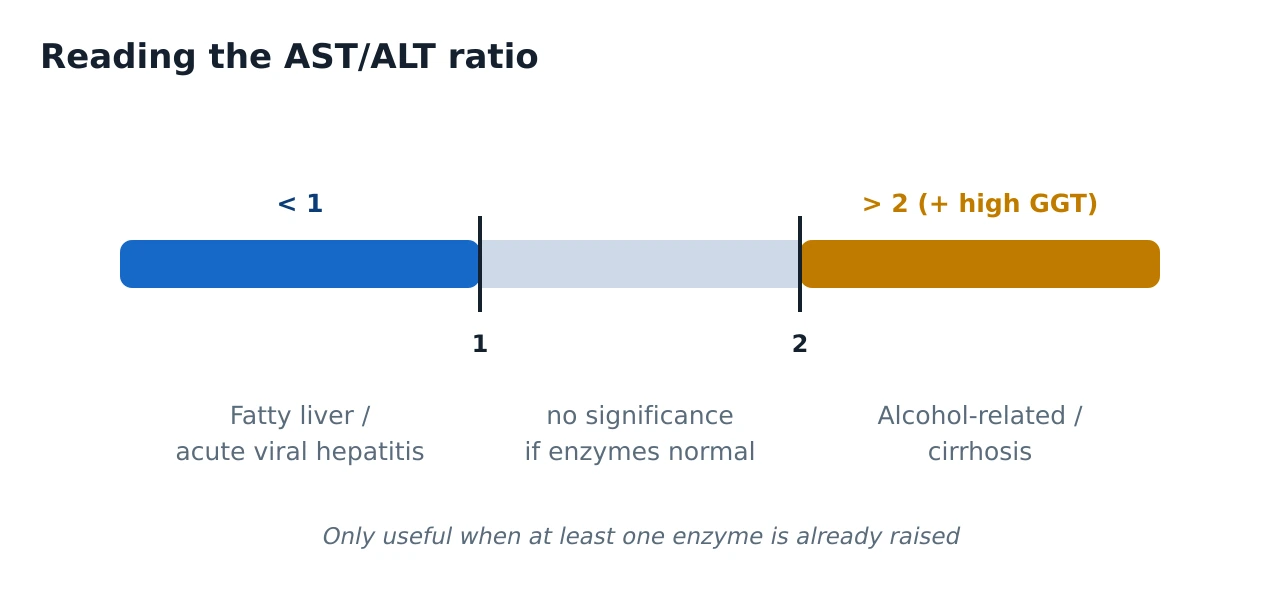 Gauge showing the AST to ALT ratio, marking below 1 as fatty liver or acute viral hepatitis and above 2 as alcohol-related disease or cirrhosis