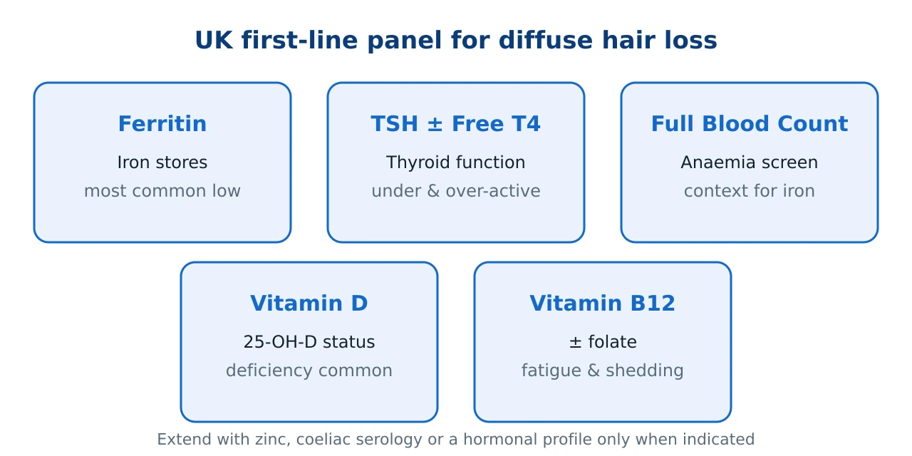 Panel of five cards showing the UK first-line blood tests for diffuse hair loss: ferritin, TSH with Free T4, Full Blood Count, vitamin D and vitamin B12