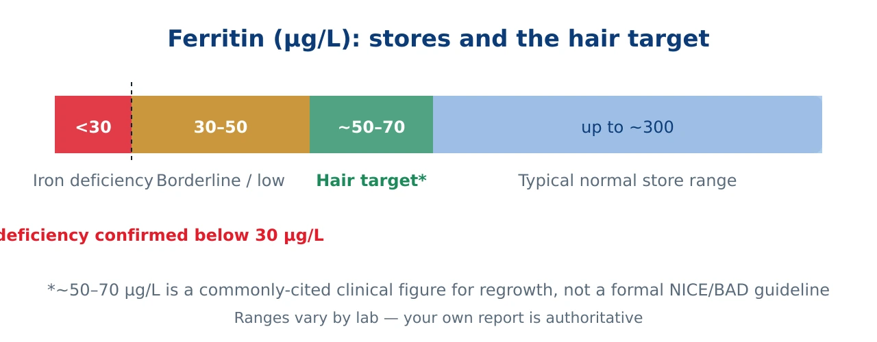Ferritin scale in micrograms per litre showing deficiency below 30, a commonly-cited hair regrowth target of 50 to 70, and the wider normal range up to about 300