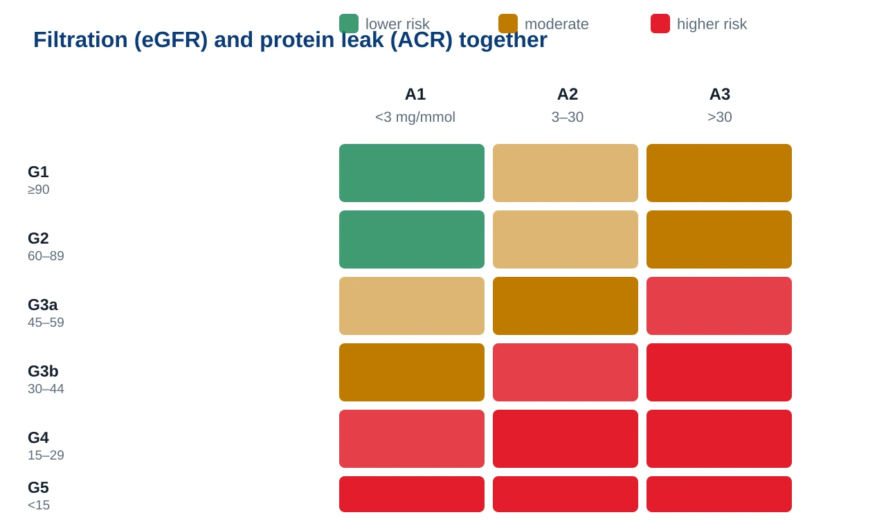 Risk grid combining eGFR stages G1 to G5 down the side with ACR categories A1, A2 and A3 across the top, coloured green for lower risk through amber to red for higher risk