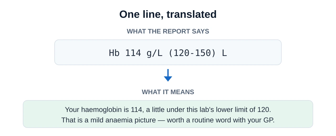 A cryptic report line reading Hb 114 g per litre with a range of 120 to 150 and an L flag, translated into a plain-English sentence explaining that haemoglobin is slightly below the range and worth discussing with a GP