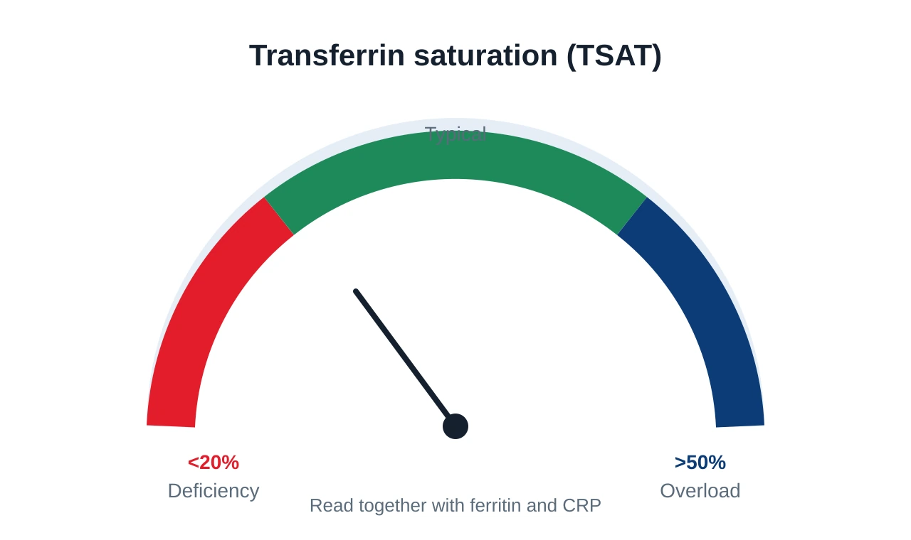 Gauge for transferrin saturation showing a deficiency zone below 20 percent, a typical zone from 20 to 50 percent, and an overload zone above 50 percent