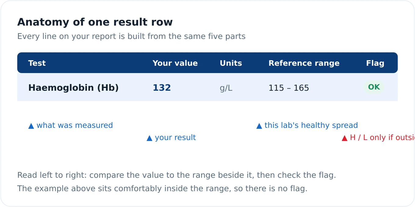 Diagram showing the anatomy of a single blood test result row: the analyte name, your value, the units, your lab's reference range, and the H or L flag column