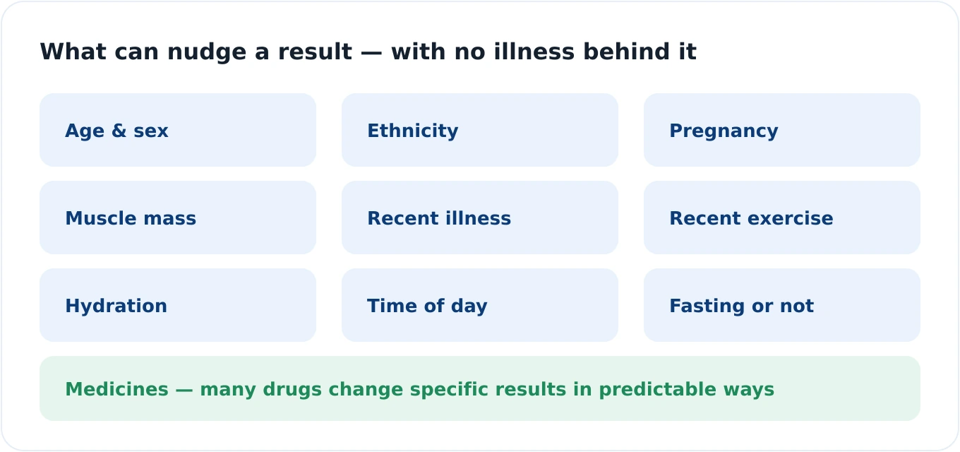 Grid of contextual factors that can shift blood test results, including age and sex, ethnicity, pregnancy, muscle mass, recent illness or exercise, hydration, time of day, fasting, and medicines