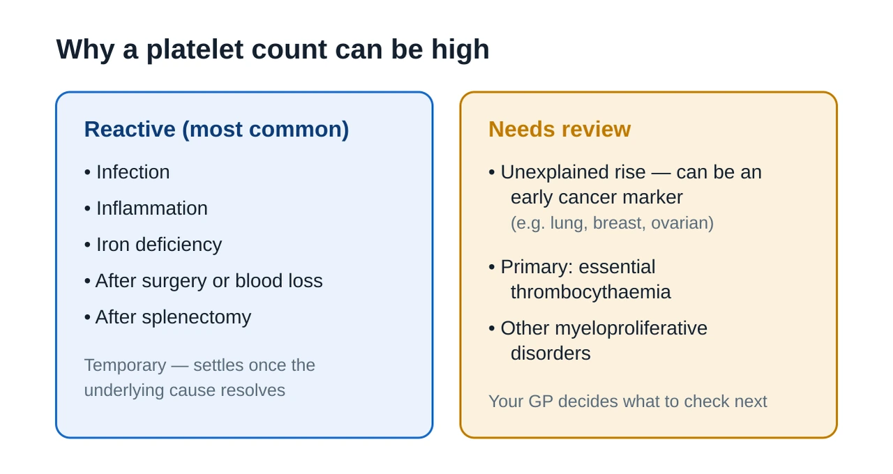 Two column comparison of causes of a high platelet count, reactive causes such as infection inflammation iron deficiency surgery and splenectomy on one side, and primary causes such as essential thrombocythaemia on the other
