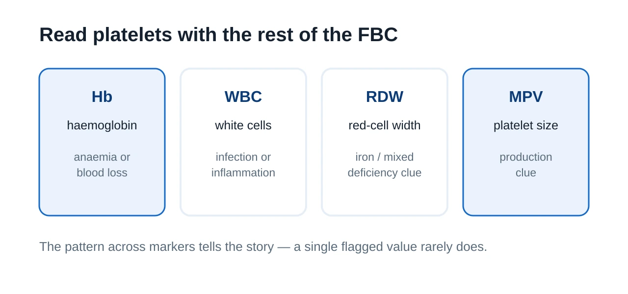 Panel of related full blood count markers to read alongside platelets, including haemoglobin white blood cells red cell distribution width and mean platelet volume