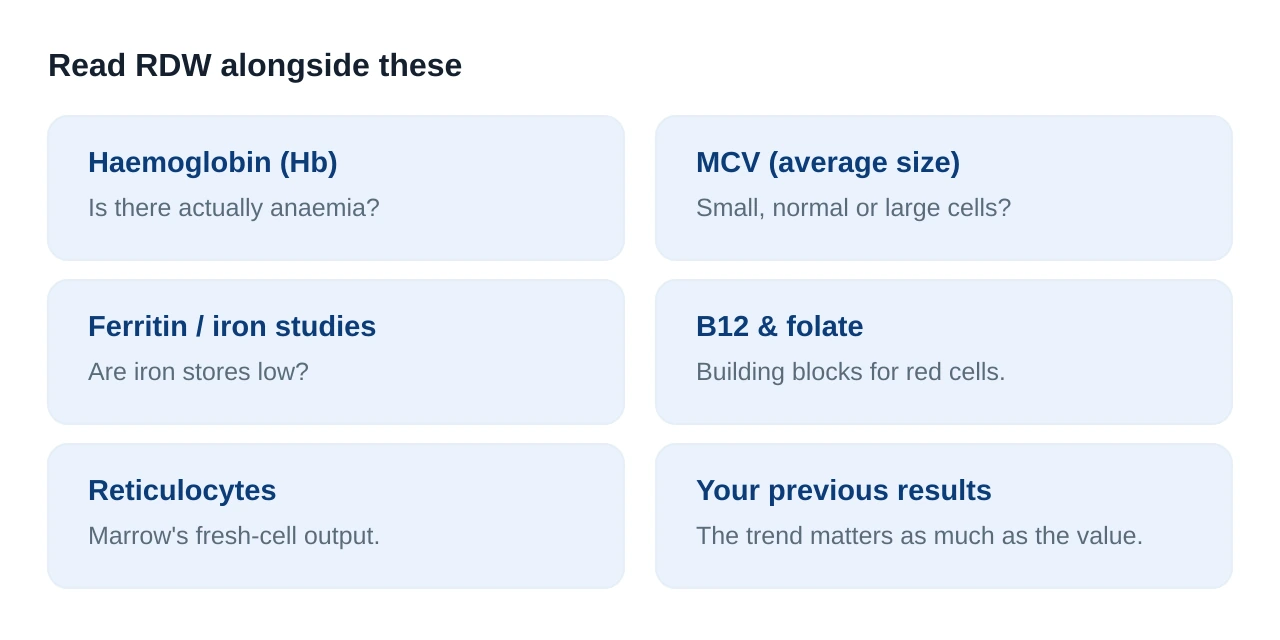 A panel of related full blood count markers to read with RDW: haemoglobin, MCV, ferritin, reticulocytes and B12 or folate
