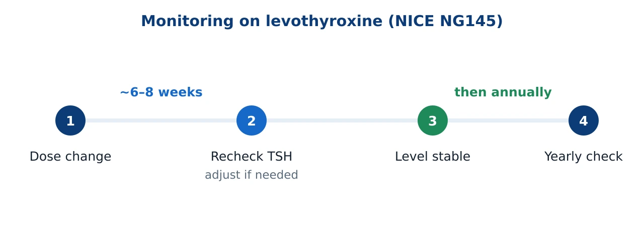 A timeline for monitoring levothyroxine. Step one, levothyroxine dose change. After about six to eight weeks, step two, recheck TSH and adjust if needed. When the level is stable, step three. Then annually, step four, a yearly TSH check.