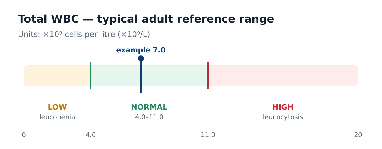 Horizontal scale showing the typical adult white blood cell count reference range of 4.0 to 11.0 times ten to the ninth per litre, with a low zone below 4.0 and a high zone above 11.0