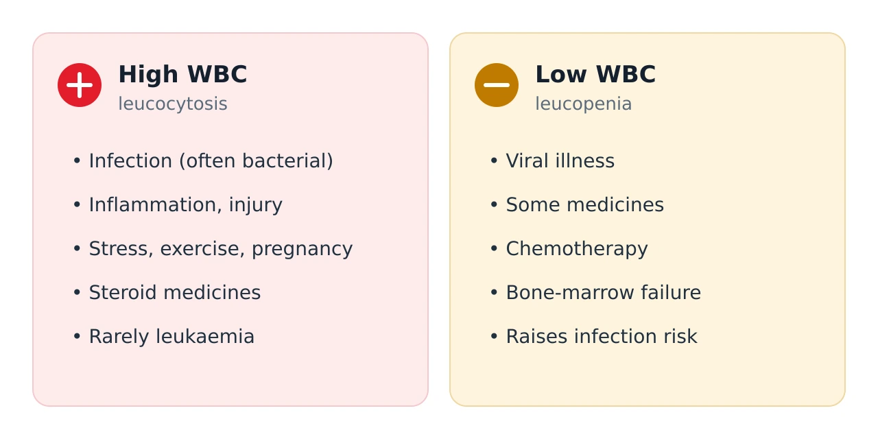 Two-column comparison of causes: high WBC or leucocytosis from infection, inflammation, stress, steroids and rarely leukaemia; low WBC or leucopenia from viral illness, some medicines and chemotherapy, and marrow failure