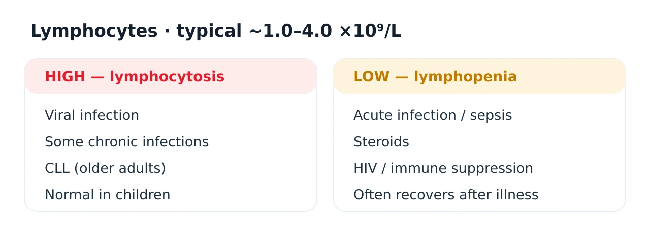 Panel contrasting lymphocytosis, a high lymphocyte count from viral infection, chronic infections and sometimes chronic lymphocytic leukaemia, with lymphopenia, a low lymphocyte count from acute infection or sepsis, steroids and HIV or immune suppression