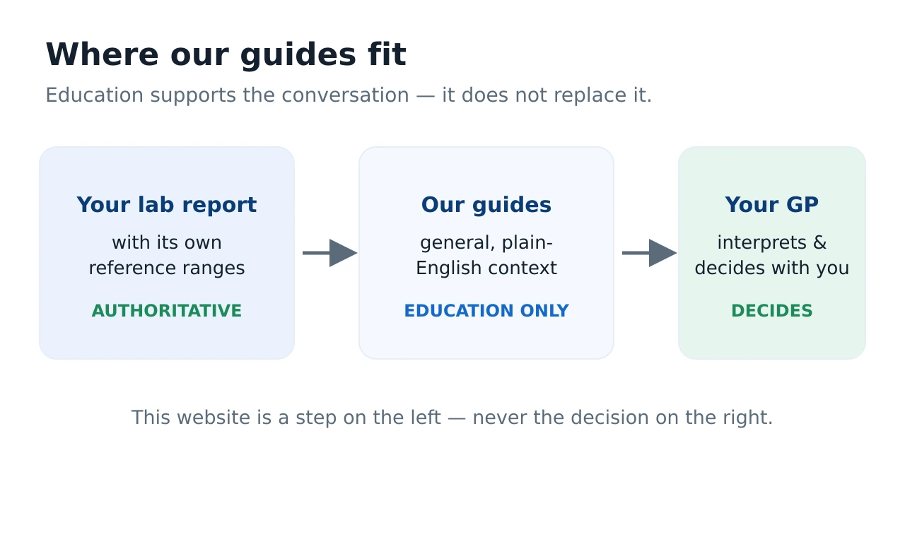 A three-step diagram showing that your own lab report is the authoritative source, our guides provide general context, and your GP is the person who interprets and decides — the website does not sit between you and your care