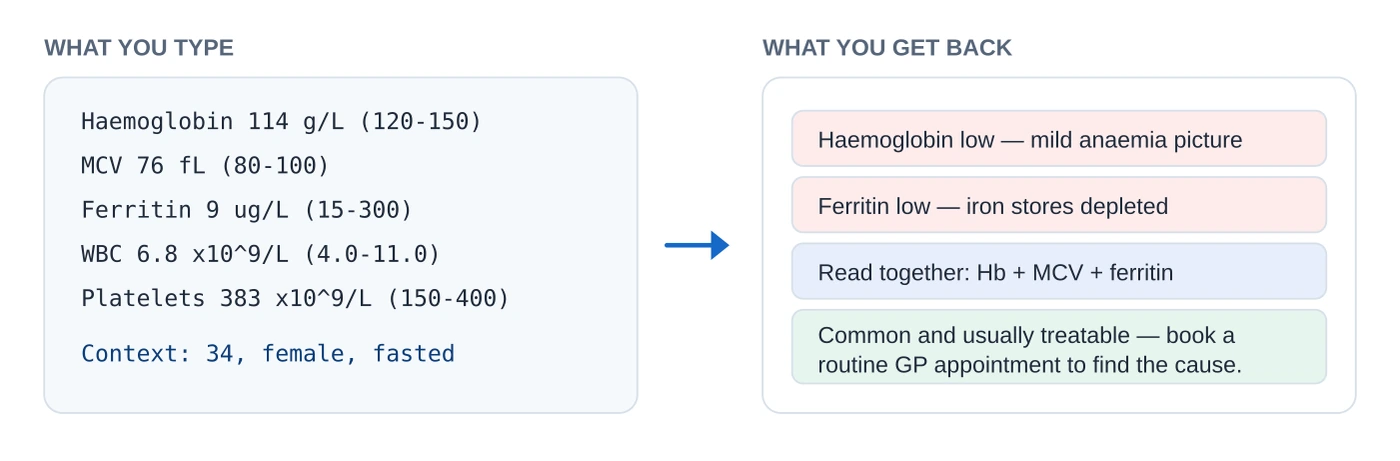 Six lines of plain text copied from a blood test report — marker, value, unit and reference range for each line plus a context note — turning into a plain-English summary that flags haemoglobin and ferritin as low and suggests a routine GP conversation.