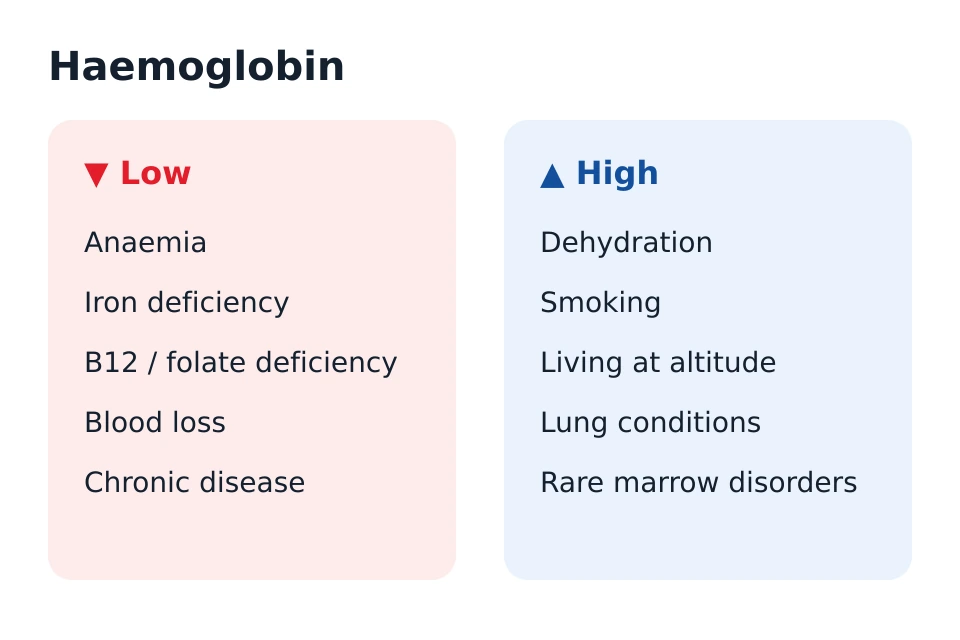 Two-column diagram of haemoglobin: low haemoglobin linked to anaemia, iron, B12 or folate deficiency and blood loss; high haemoglobin linked to dehydration, smoking and living at altitude.