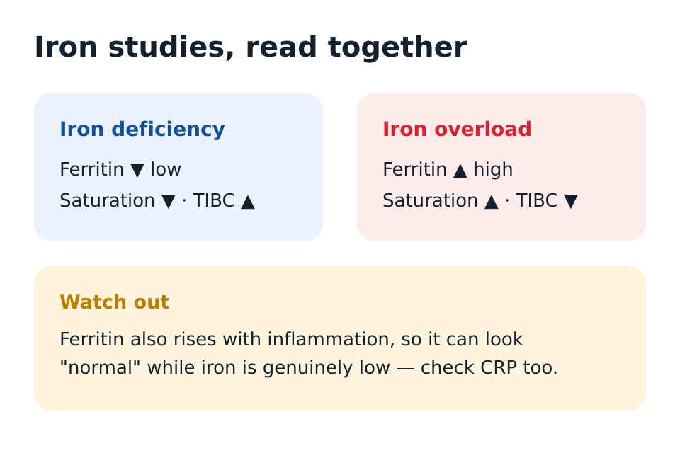 Iron studies panel showing ferritin, transferrin saturation and total iron-binding capacity read together to tell iron deficiency from iron overload.