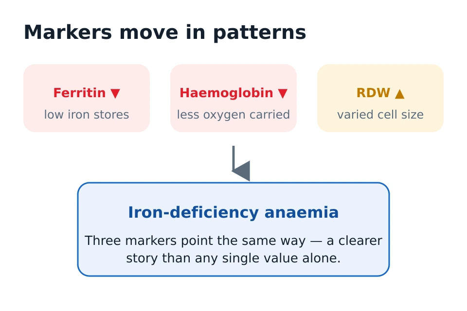 Diagram showing that blood markers move in patterns: low ferritin with low haemoglobin and high RDW together suggest iron-deficiency anaemia.