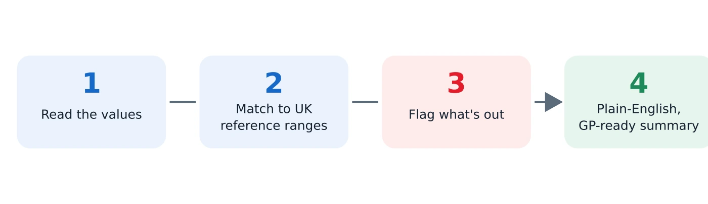 Four-step flow of how an AI blood-test analyser works: read the values, match each to its UK reference range, flag anything outside it, then write a plain-English, GP-ready summary.