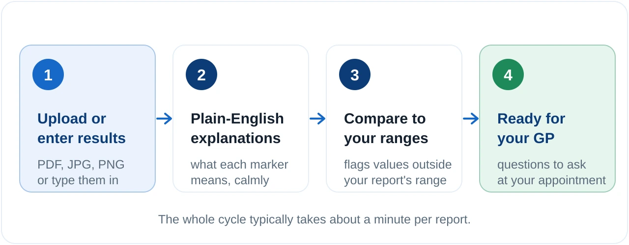 Four-step Kantesti flow: upload or enter your results, receive plain-English explanations, compare values to your report's reference ranges, then arrive prepared for your GP.